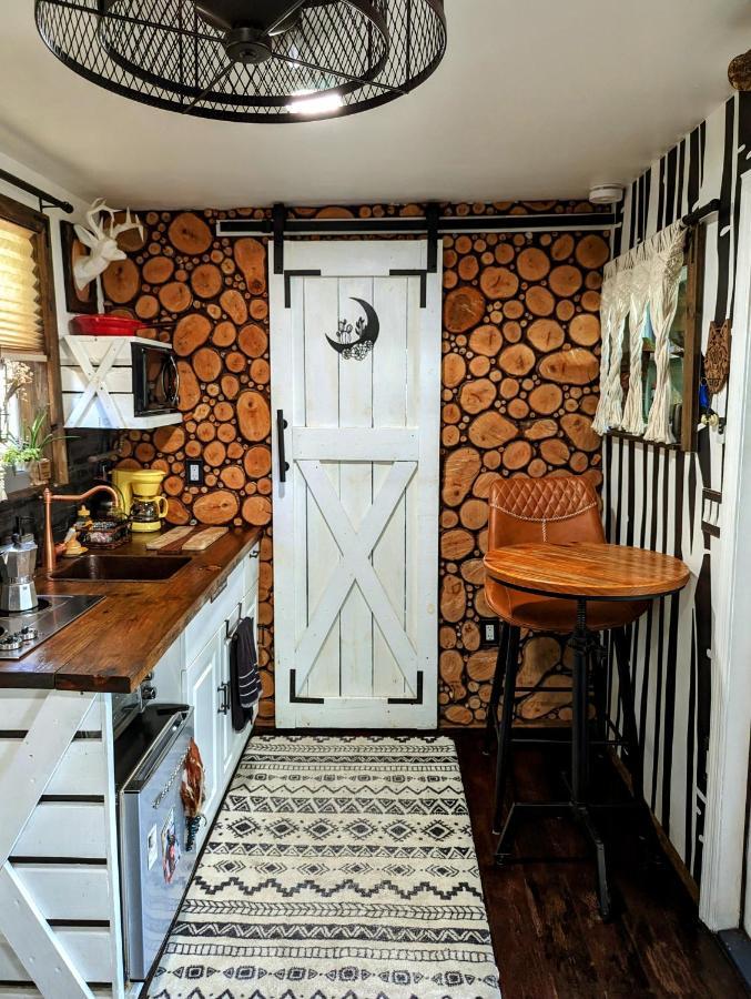 Cozy Af Tiny-House Oasis Villa Tampa Ngoại thất bức ảnh