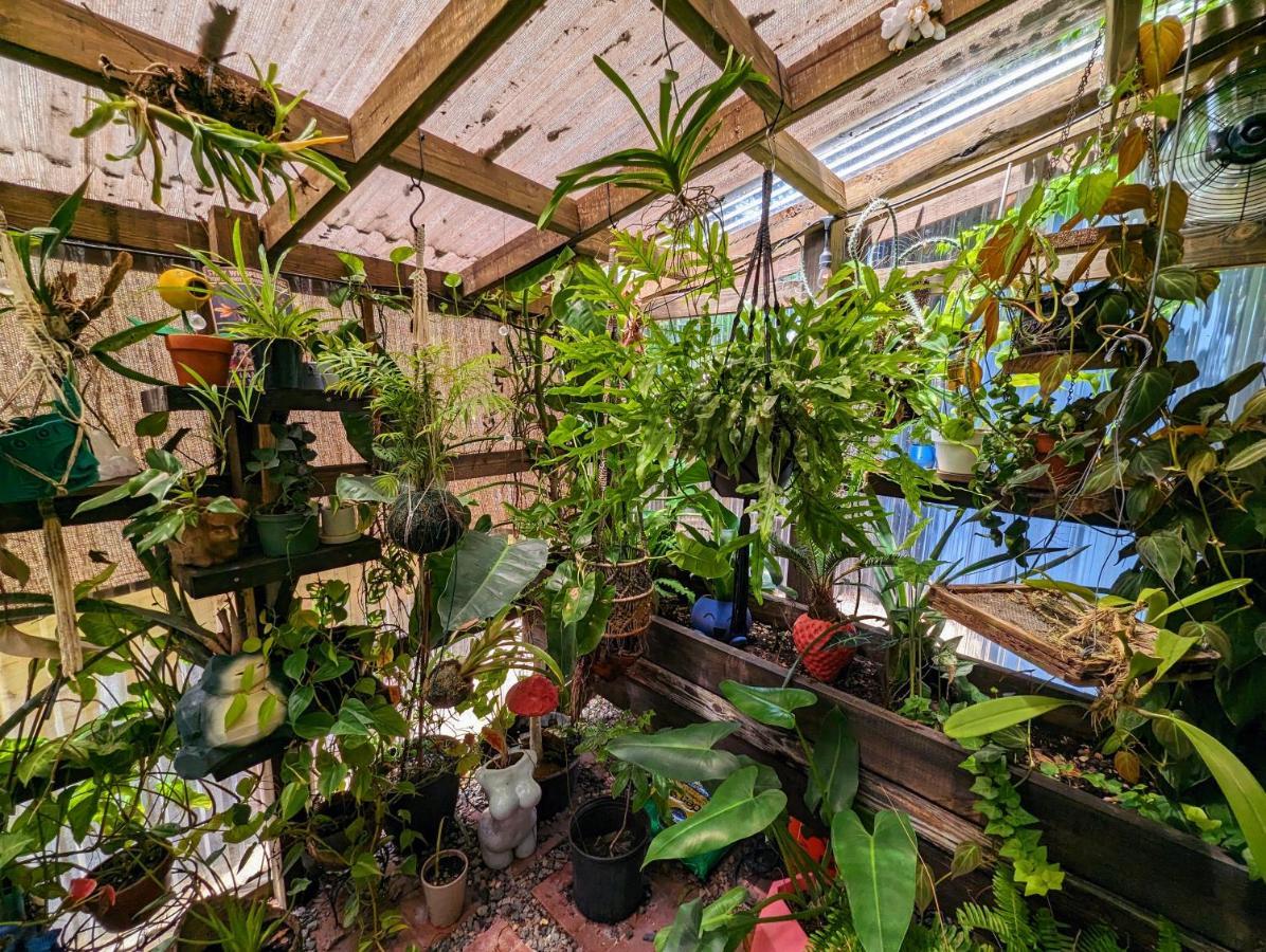 Cozy Af Tiny-House Oasis Villa Tampa Ngoại thất bức ảnh