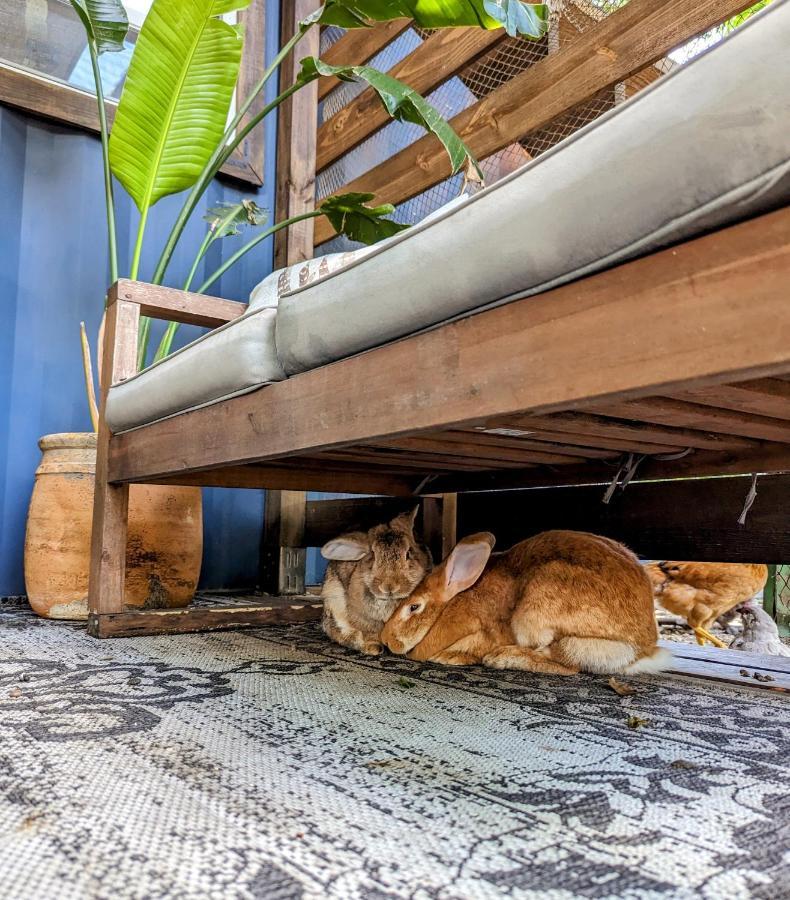 Cozy Af Tiny-House Oasis Villa Tampa Ngoại thất bức ảnh