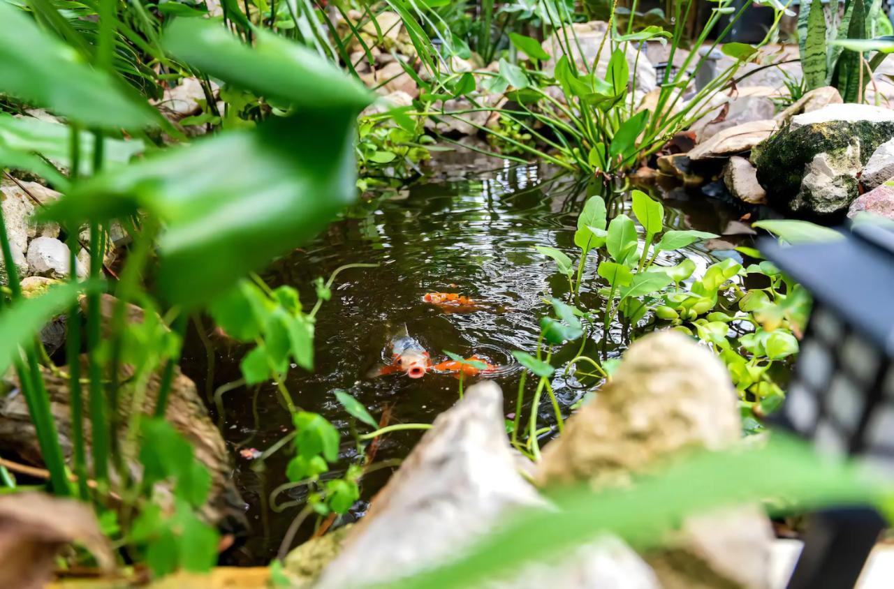 Cozy Af Tiny-House Oasis Villa Tampa Ngoại thất bức ảnh