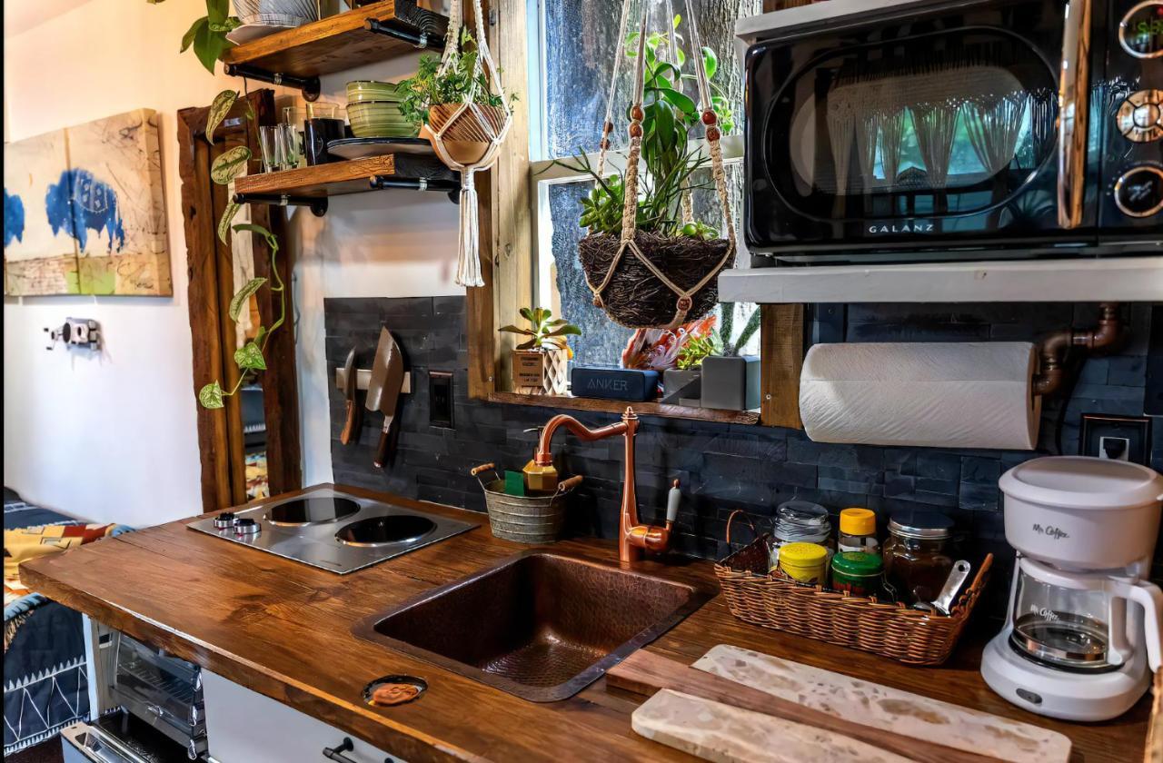 Cozy Af Tiny-House Oasis Villa Tampa Ngoại thất bức ảnh