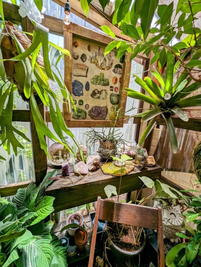 Cozy Af Tiny-House Oasis Villa Tampa Ngoại thất bức ảnh