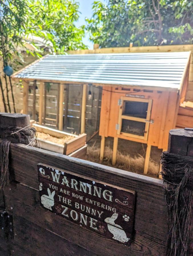 Cozy Af Tiny-House Oasis Villa Tampa Ngoại thất bức ảnh