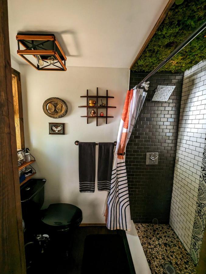 Cozy Af Tiny-House Oasis Villa Tampa Ngoại thất bức ảnh